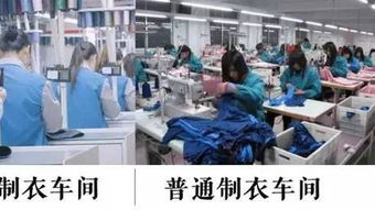 服装行业哀鸿遍野，这家中国企业却火遍全球